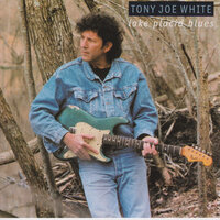 Tony Joe White (Избранное).